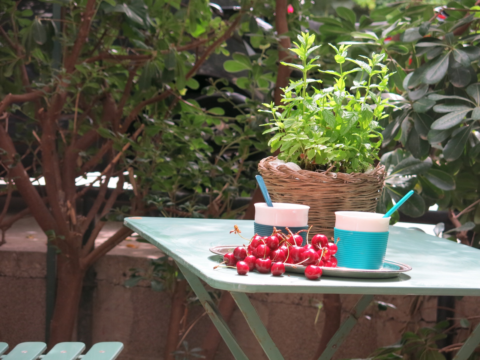 Inner garden with a small table and Mediterranean plants